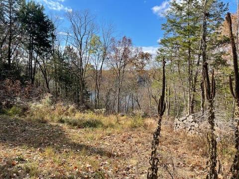 995 Campbell Rd, Nancy, KY 42544 photo 6