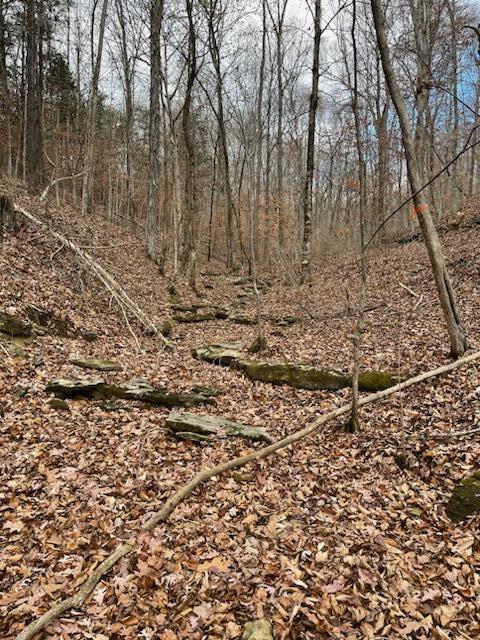 995 Campbell Rd, Nancy, KY 42544 photo 9