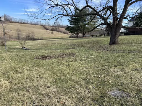 145 Cassidy Pike, Ewing, KY 41039 photo 12