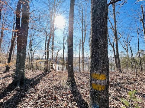 000 Lot 33 Captains Pt, Jamestown, KY 42629