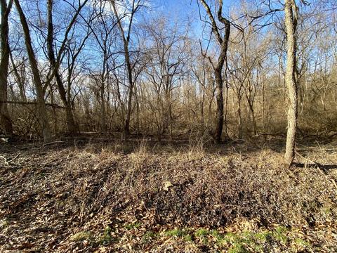 0 Lakeview Dr, Union, KY 41091