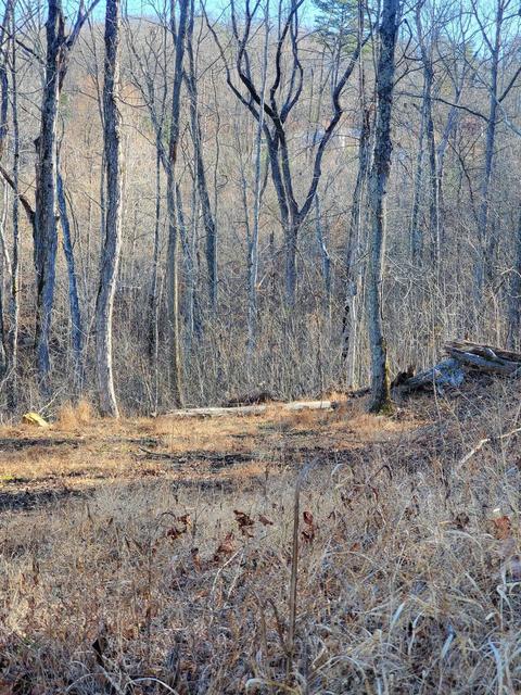 129 Buckeye Dr, Burnside, KY 42519 photo 2