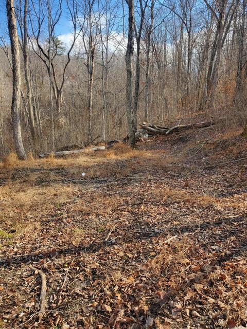 129 Buckeye Dr, Burnside, KY 42519 photo 3