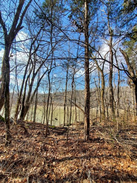 129 Buckeye Dr, Burnside, KY 42519 photo 6