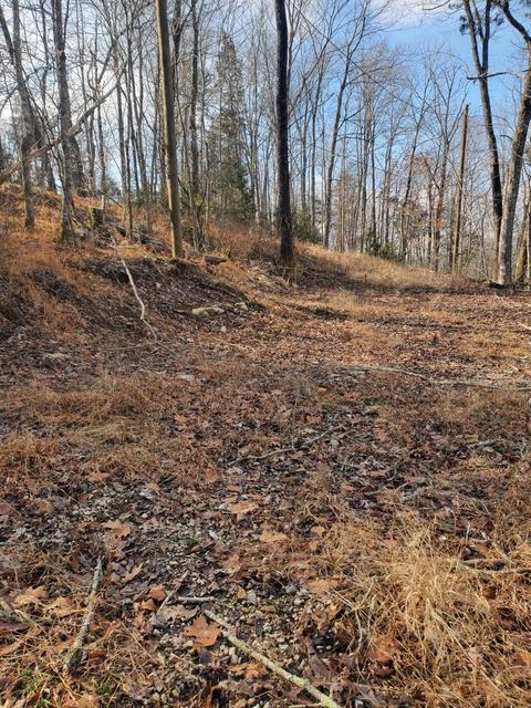129 Buckeye Dr, Burnside, KY 42519 photo 5