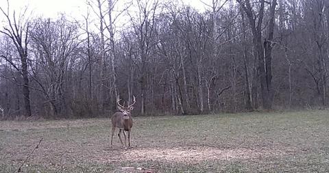 21140 Bolts Fork Rd, Rush, KY 41168 photo 42