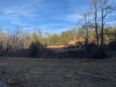 2699 Osborne Creek Rd, Pine Knot, KY 42635