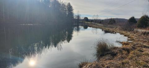 48 Acres Casey Creek Rd, Liberty, KY 42539