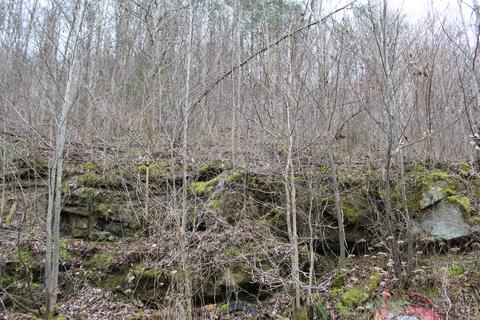 6726 Ky-66, Arjay, KY 40902 photo 8
