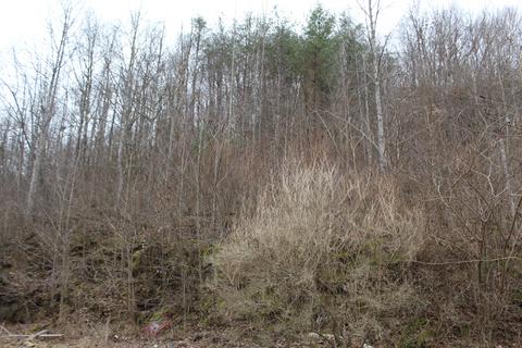 6726 Ky-66, Arjay, KY 40902 photo 6