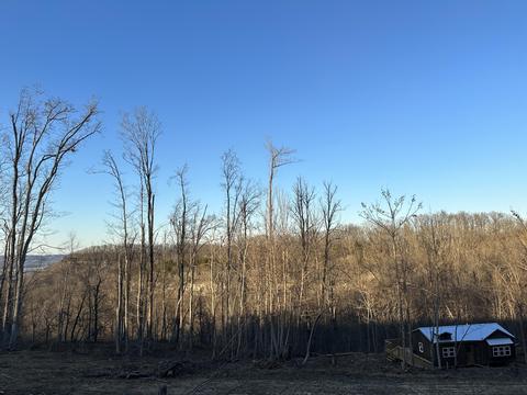 100 Orchard Valley Rd, Stanton, KY 40380