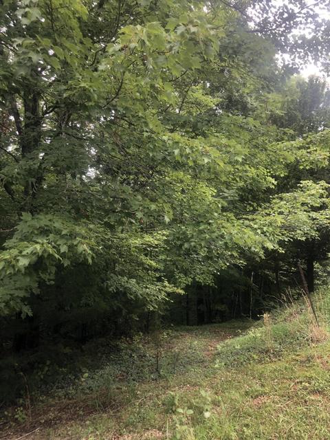 80 A-b Bass Cir, Nancy, KY 42544