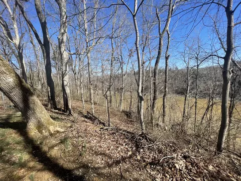 0000 Beauchamp Dr, Burnside, KY 41519 photo 17
