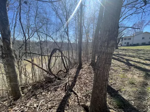 0000 Beauchamp Dr, Burnside, KY 41519 photo 18