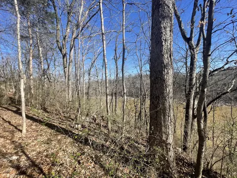 0000 Beauchamp Dr, Burnside, KY 41519 photo 10