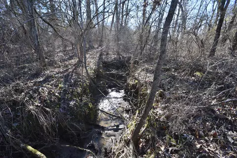 356 Walnut St, Salvisa, KY 40372 photo 11