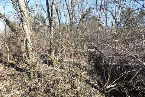 356 Walnut St, Salvisa, KY 40372 photo 8