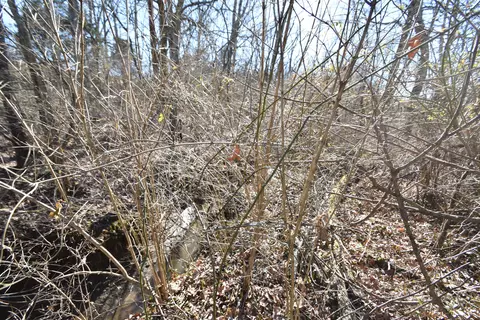 356 Walnut St, Salvisa, KY 40372 photo 9
