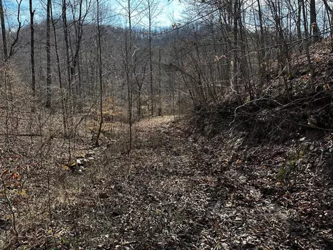 1893 Scott Branch Rd, Green Road, KY 40946