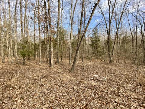 76 Latin Dr, Murray, KY 42071
