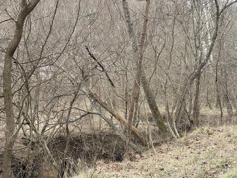 286 Bradford Rd, David, KY 41616 photo 6