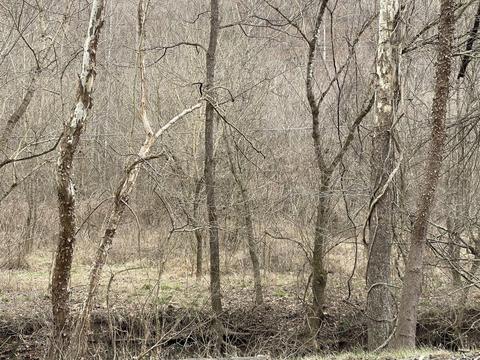 286 Bradford Rd, David, KY 41616 photo 5