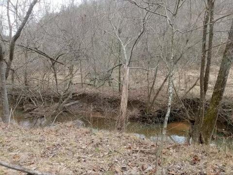 286 Bradford Rd, David, KY 41616 photo 2