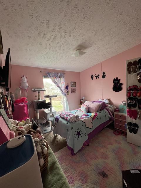 94 Eden Ln, Nancy, KY 42544 photo 14