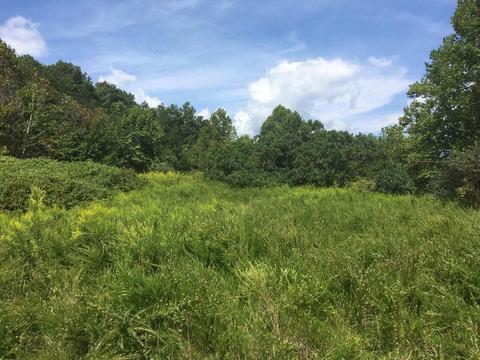 3475 1350, Manchester, KY 40962