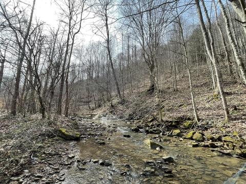 9999 Trace Branch Rd, Walker, KY 40997