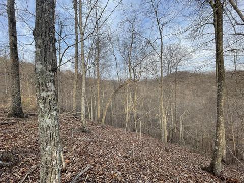 9999 Wild Dog Rd, Bear Branch, KY 41714