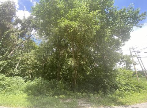 0 Tateville Antioch Rd, Burnside, KY 42519