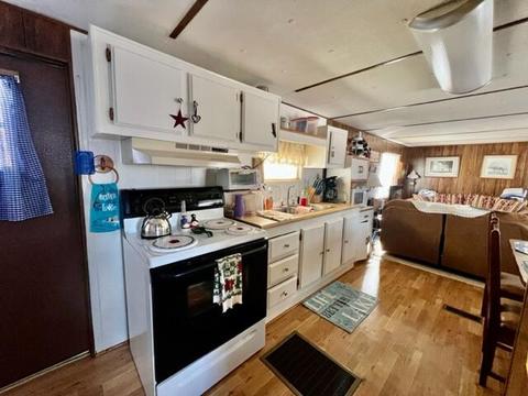 100 Hawk Dr, Burnside, KY 42519 photo 36