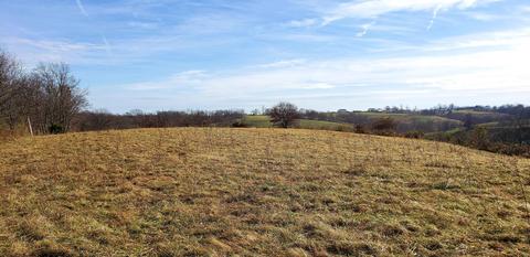 6 Waterworks Rd, Williamstown, KY 41097