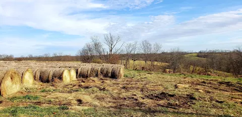 7 Waterworks Rd, Williamstown, KY 41097