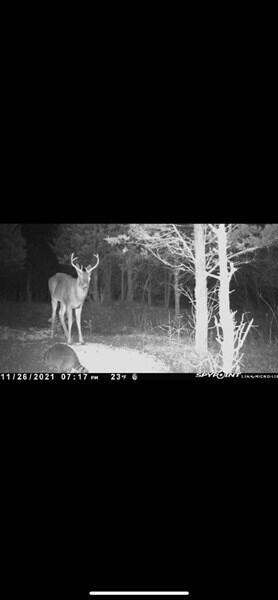 999 Naylor Rd, Owingsville, KY 40360