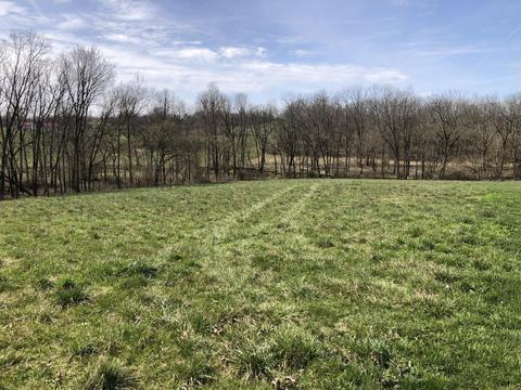 1 Mt Vernon Rd, Cynthiana, KY 41031