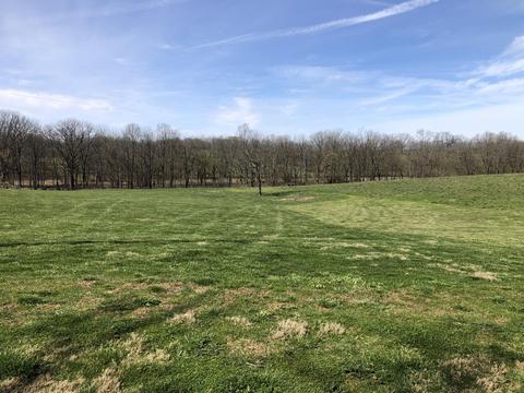 4 Mt Vernon Rd, Cynthiana, KY 41031