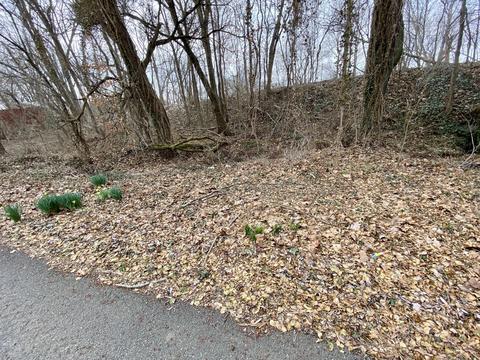 76 Pine St, Beechmont, KY 42323 photo 10
