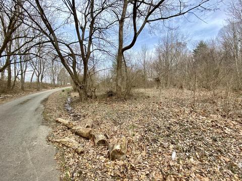 76 Pine St, Beechmont, KY 42323 photo 7
