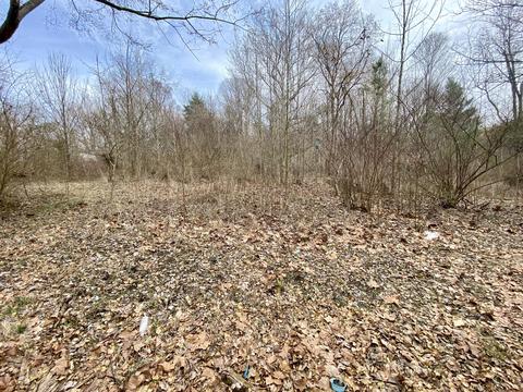 76 Pine St, Beechmont, KY 42323 photo 6