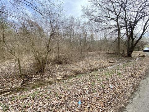 76 Pine St, Beechmont, KY 42323 photo 9