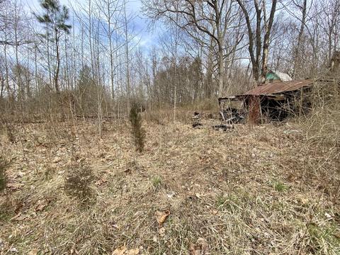 76 Pine St, Beechmont, KY 42323 photo 3