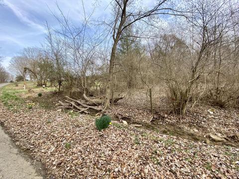 76 Pine St, Beechmont, KY 42323 photo 8