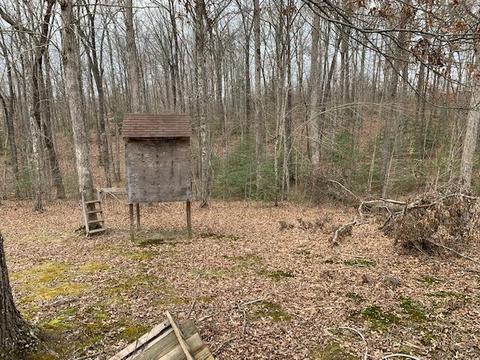 1060 Murphy Ridge Rd, Strunk, KY 42649 photo 6