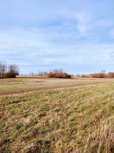 4290 Lexington Rd, Paris, KY 40361