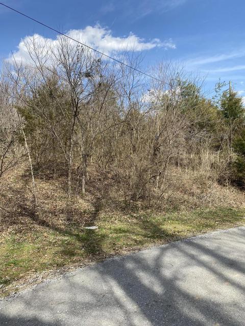 lot853 Antioch Church Rd Dr, Burnside, KY 42519