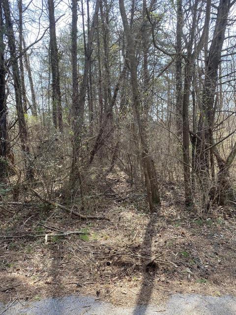 lot1057 Palisades Ct, Burnside, KY 42519