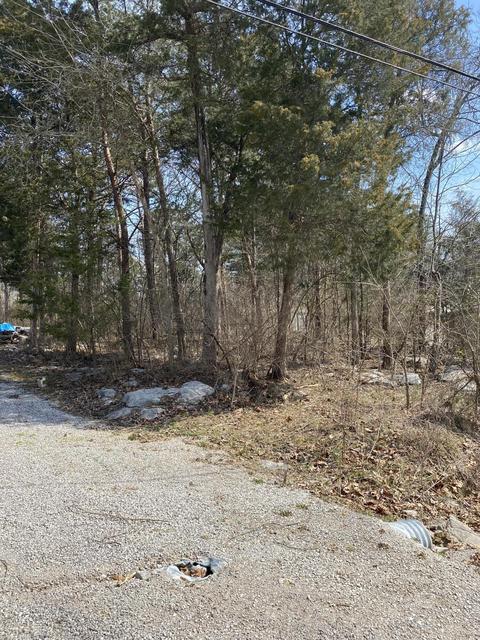 lot543 Foxwood Dr, Burnside, KY 42519