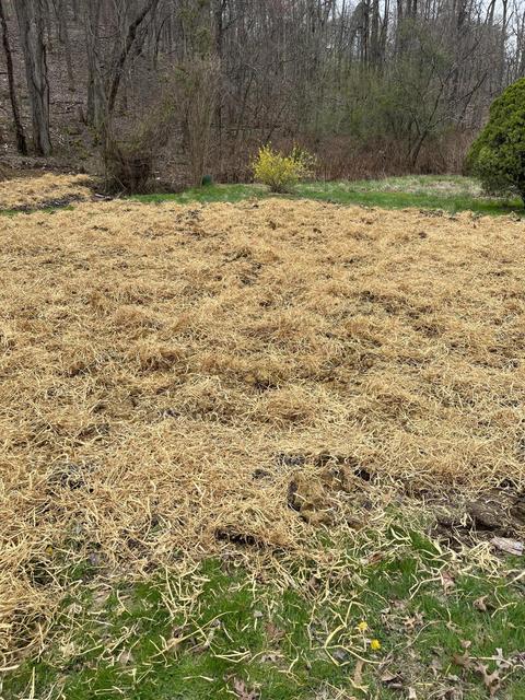 615 Evans Dr, Middlesboro, KY 40965